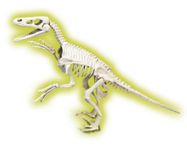 SKAMIENIAŁOŚCI RAPTOR NAUKOWA ZABAWA APLIKACJA ANDROID#G2 - obrazek 2